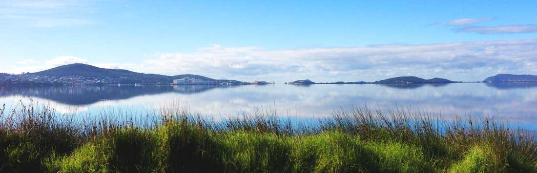 Albany city skyline