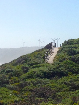 Albany Wind Farm