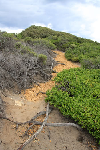 Path to Sinker Reef 