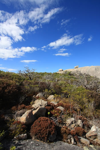 Stony Hill, Torndirrup NP, Albany