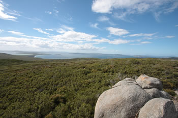 Stony Hill, Torndirrup NP, Albany